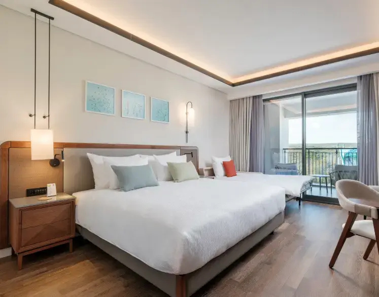 (Family Zone) Deluxe Double room with Adventure park view (twin beds)