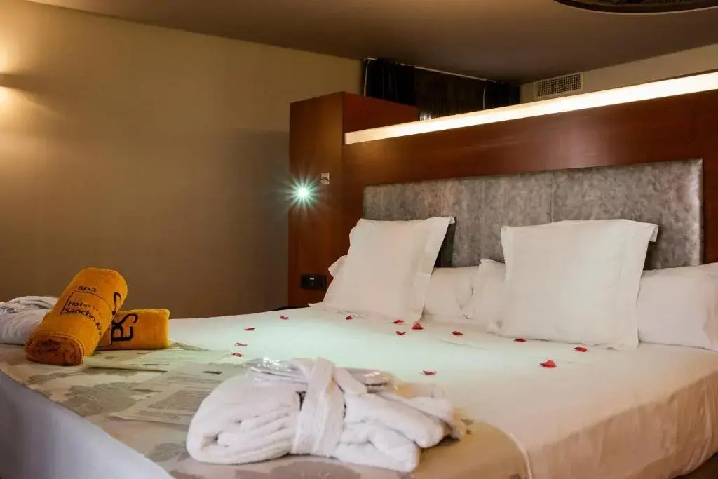 Hotel Sancho Abarca Petit SPA - Chambres