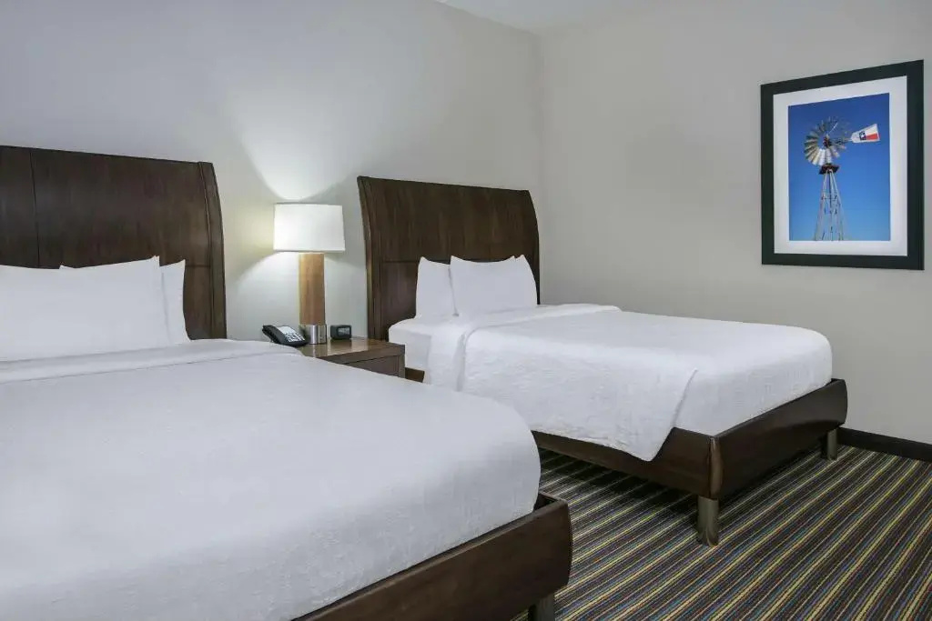 Hilton Garden Inn San Antonio At The Rim - Chambres