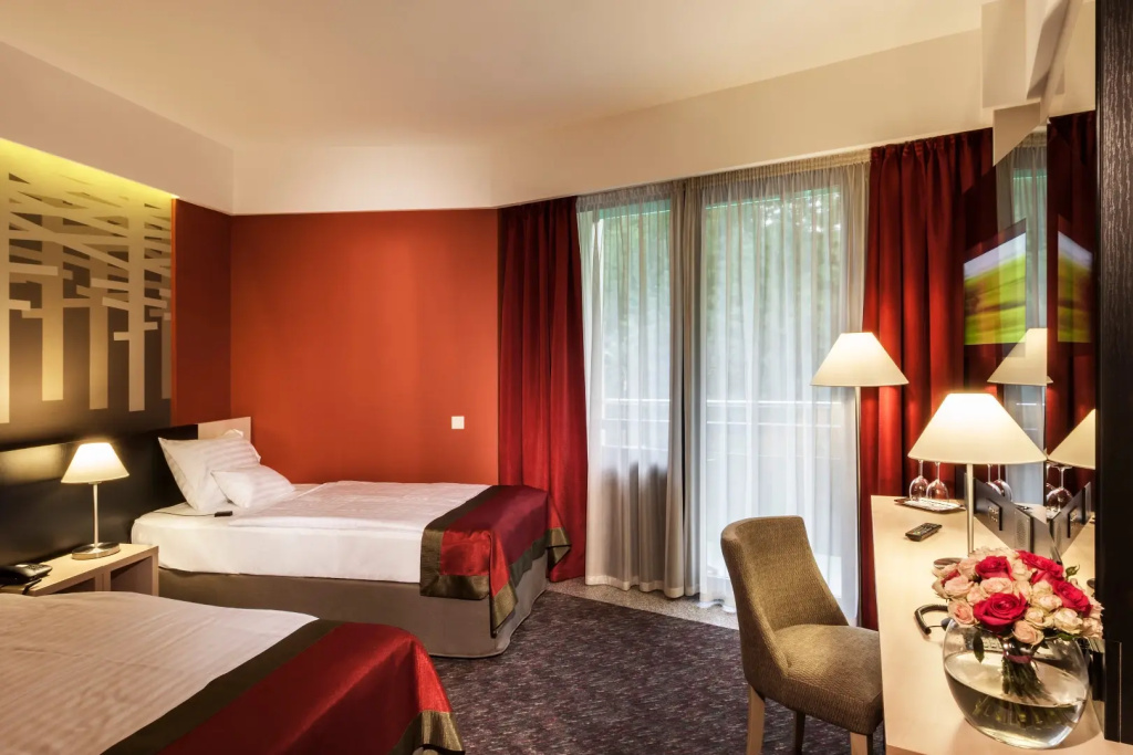 Deluxe Double room (twin beds)
