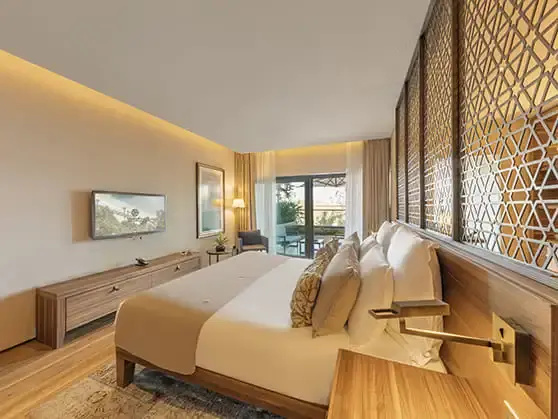 Deluxe Double room with mountain view (twin beds)