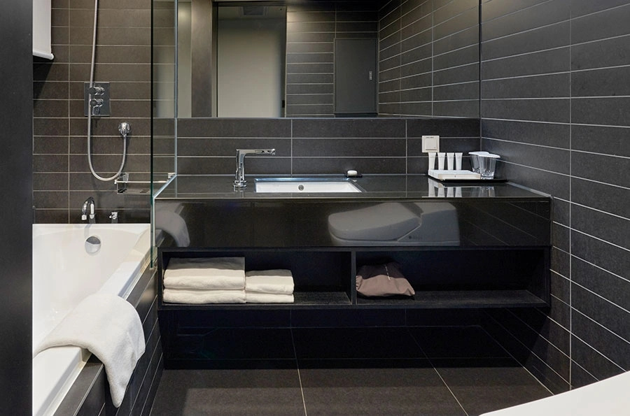Sotetsu Hotels The Splaisir Seoul Myeong-Dong - Chambres