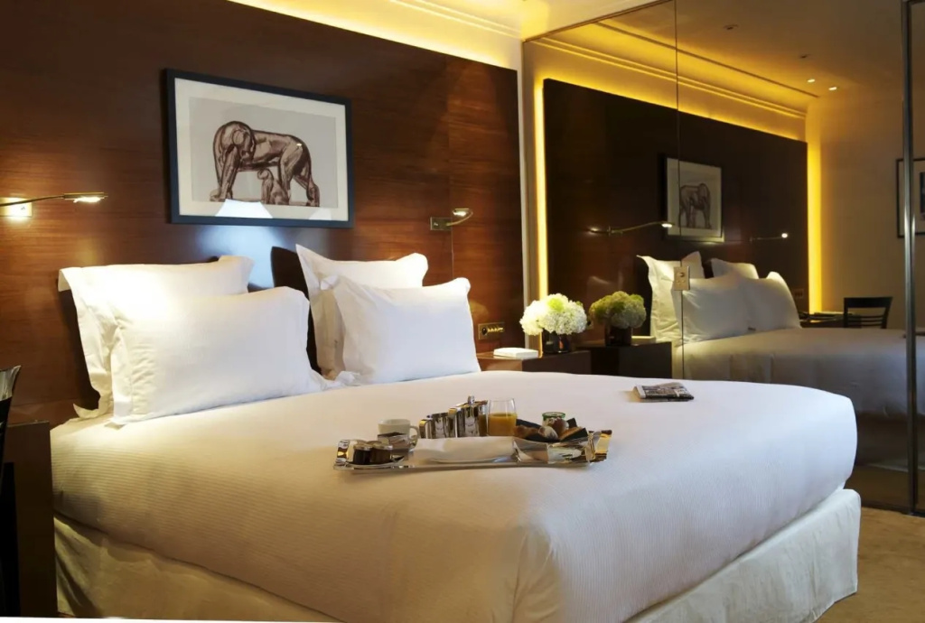 Deluxe Double room (full double bed)
