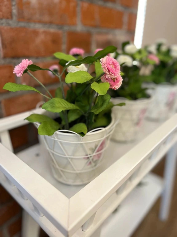 Полулюкс Superior в Дом Паткуль