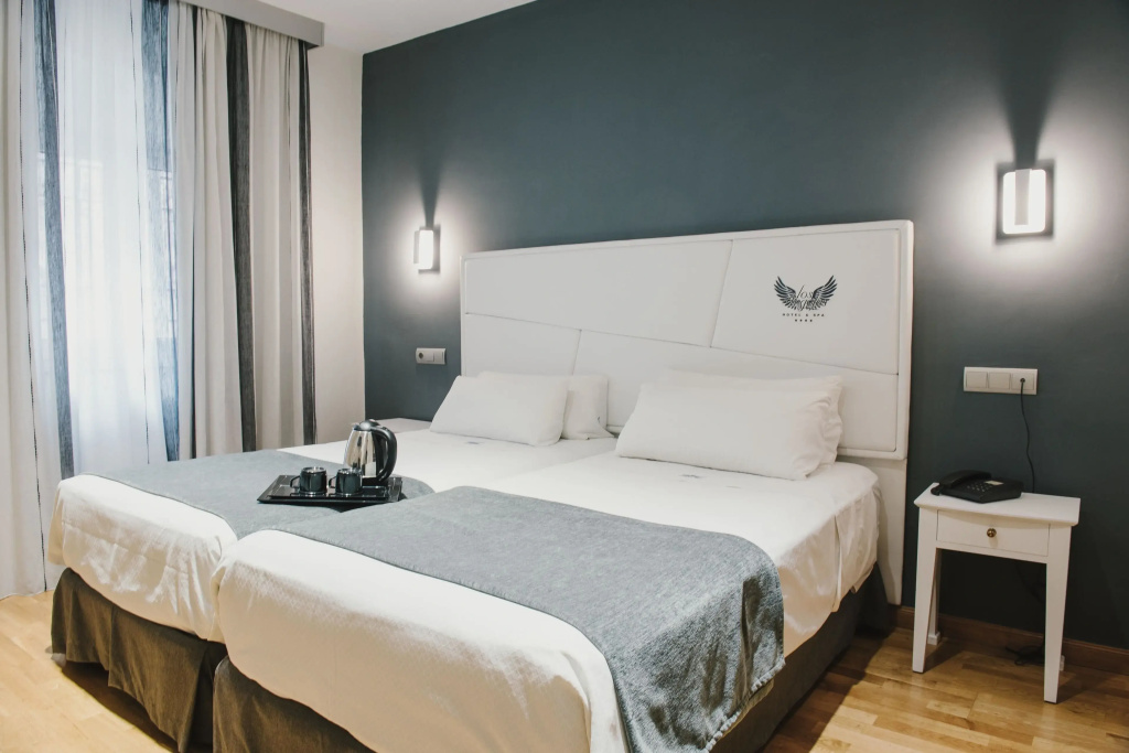 Standard Double room (twin beds)