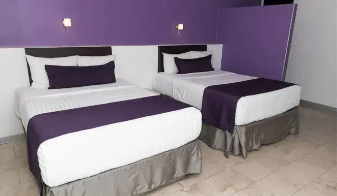 Quadruple Junior Suite