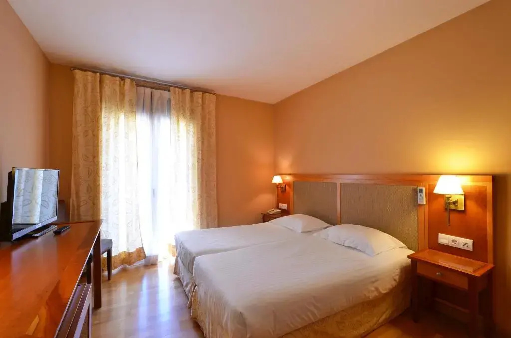 Hotel Acevi Val d'Aran - Général