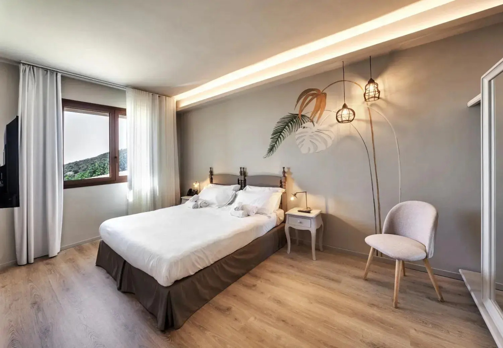 Standard Double room (full double bed)