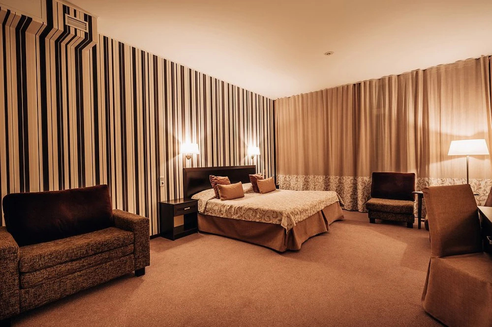 Azimut Park Hotel& SPA Repino Room Type - Double Junior Suite full double bed