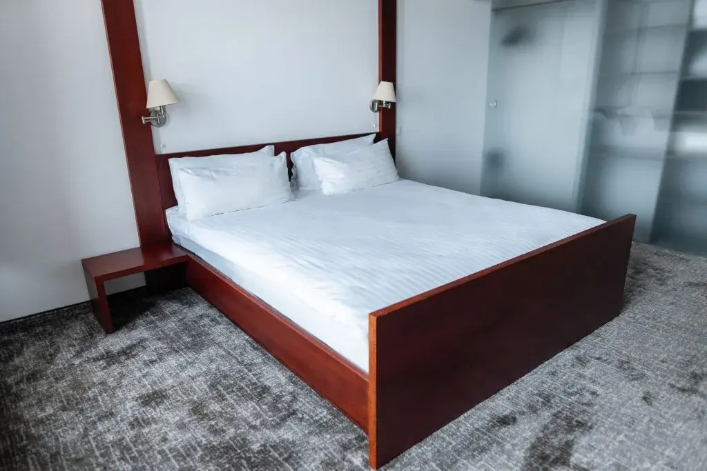 Luxury Double Suite (full double bed)