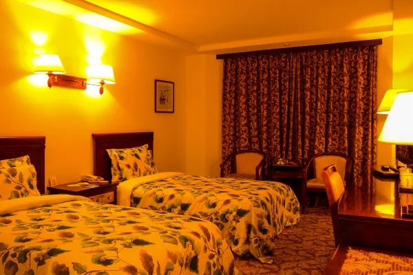 Business Double room (twin beds)