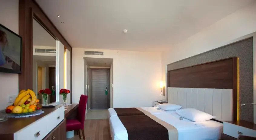Standard Double room (twin beds)