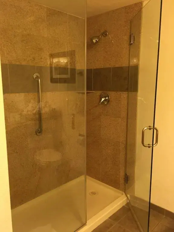 Wyndham Garden Hotel Austin - Chambres