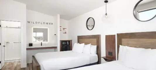 Western Wallflower
