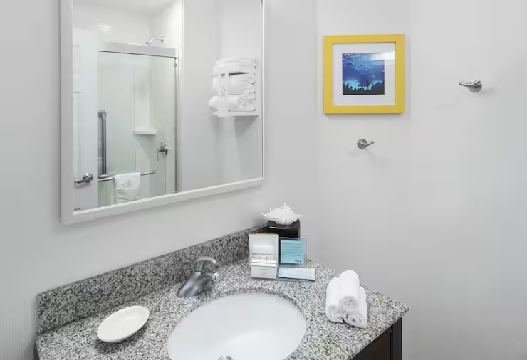 Hampton Inn & Suites Atlanta-Downtown - Chambres