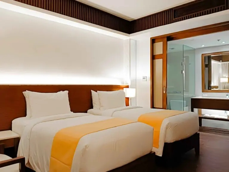 Deluxe Double room (twin beds)