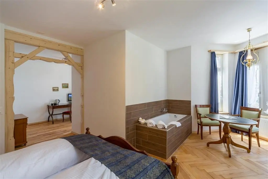 Carlton-Europe Vintage Adults Hotel - Chambres