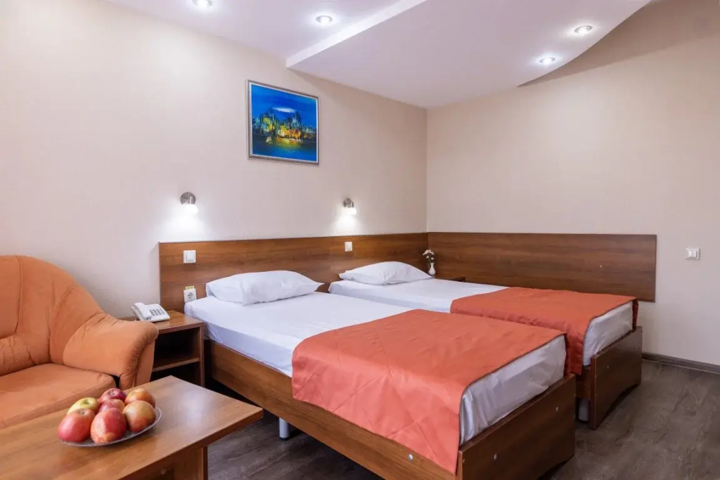 Standard (panoramic window) Double room with view (twin beds)
