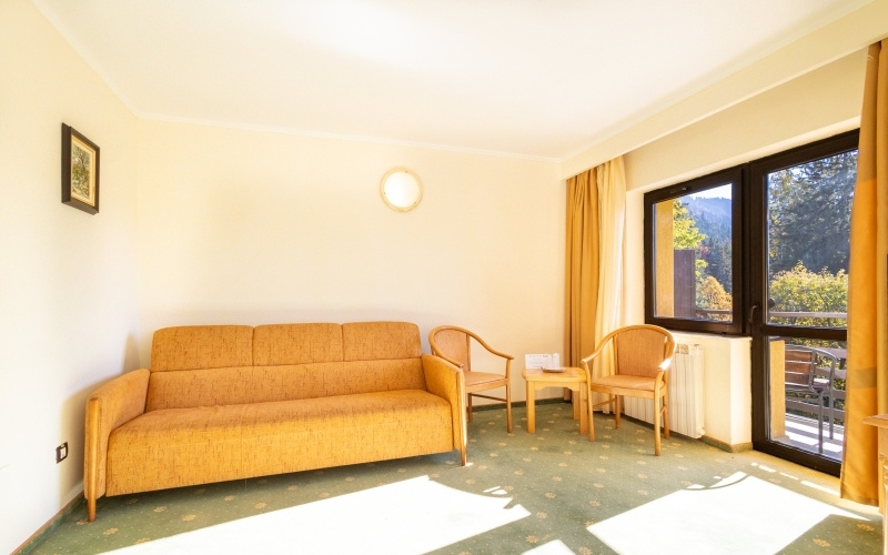 Hotel Casa Viorel - Chambres