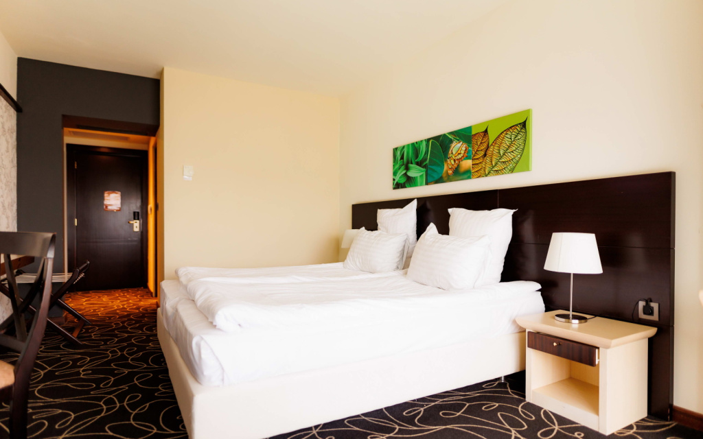 Standard Double room with panoramic view (full double bed)