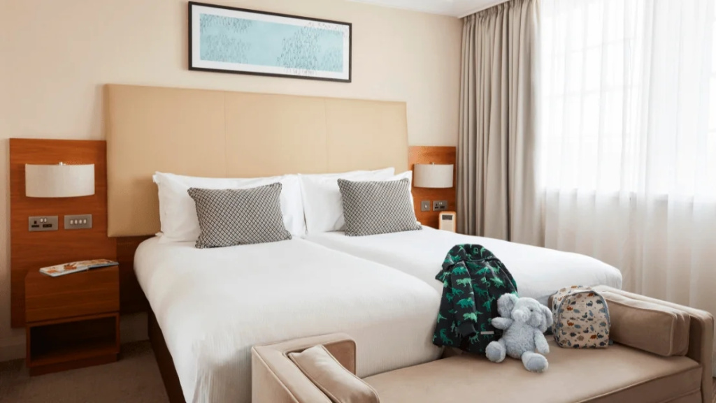 Double Studio Suite (full double bed)