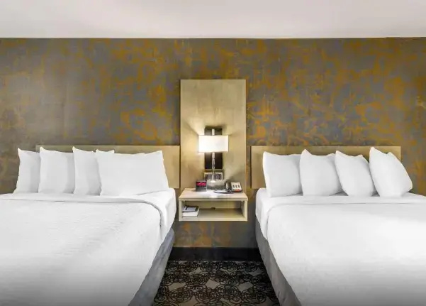 Deluxe Double room (twin beds)