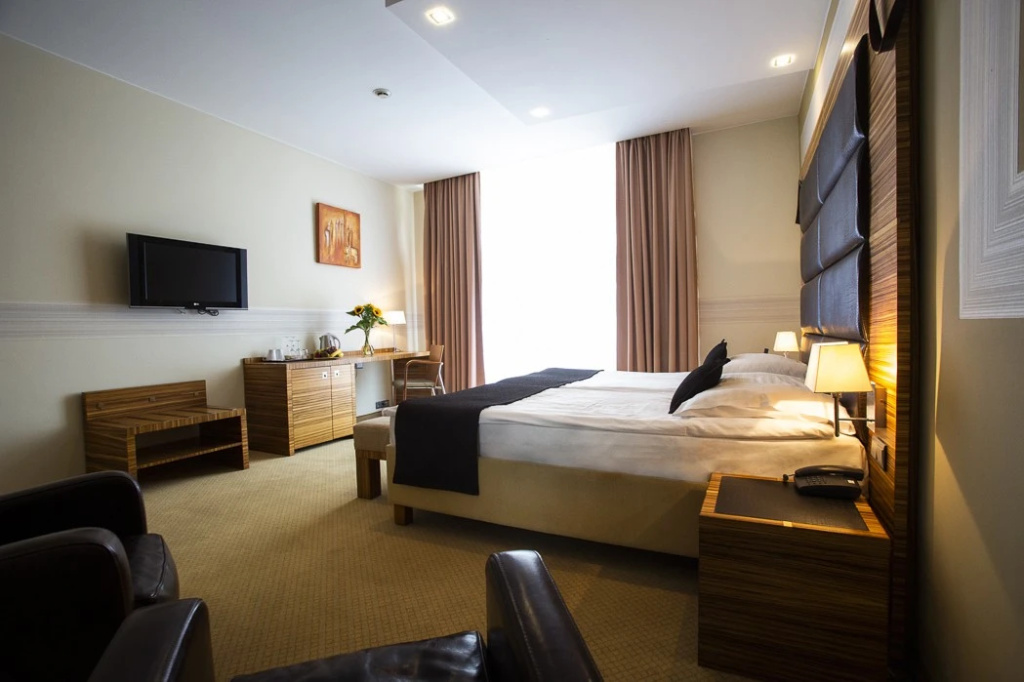 Business Double room (full double bed) (bed type is subject to availability)