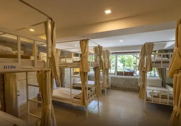Bed in Dorm