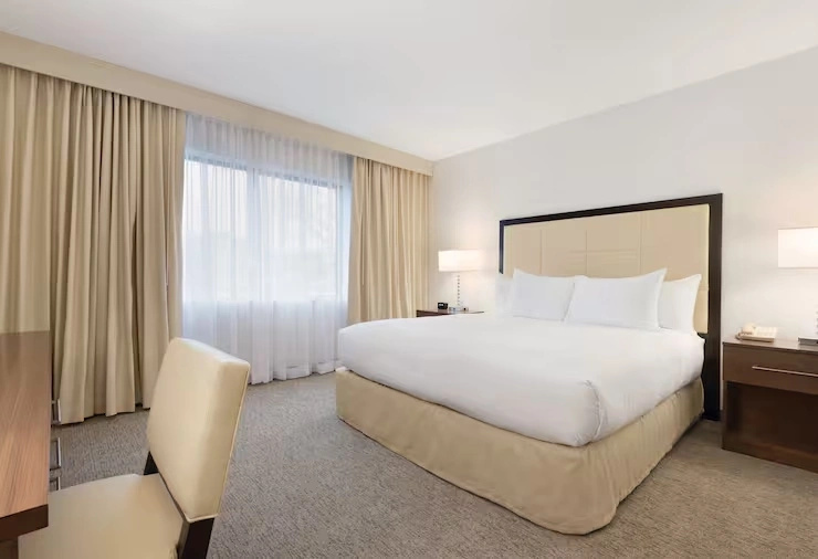 1 Bedroom Accessible Suite