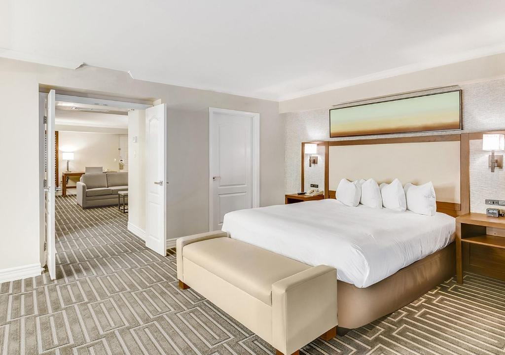 1 Bedroom Ambassador Double Suite (full double bed)