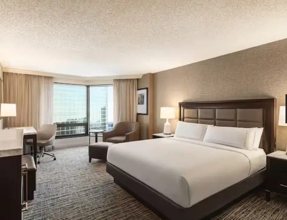 Hilton Tampa Downtown - Chambres
