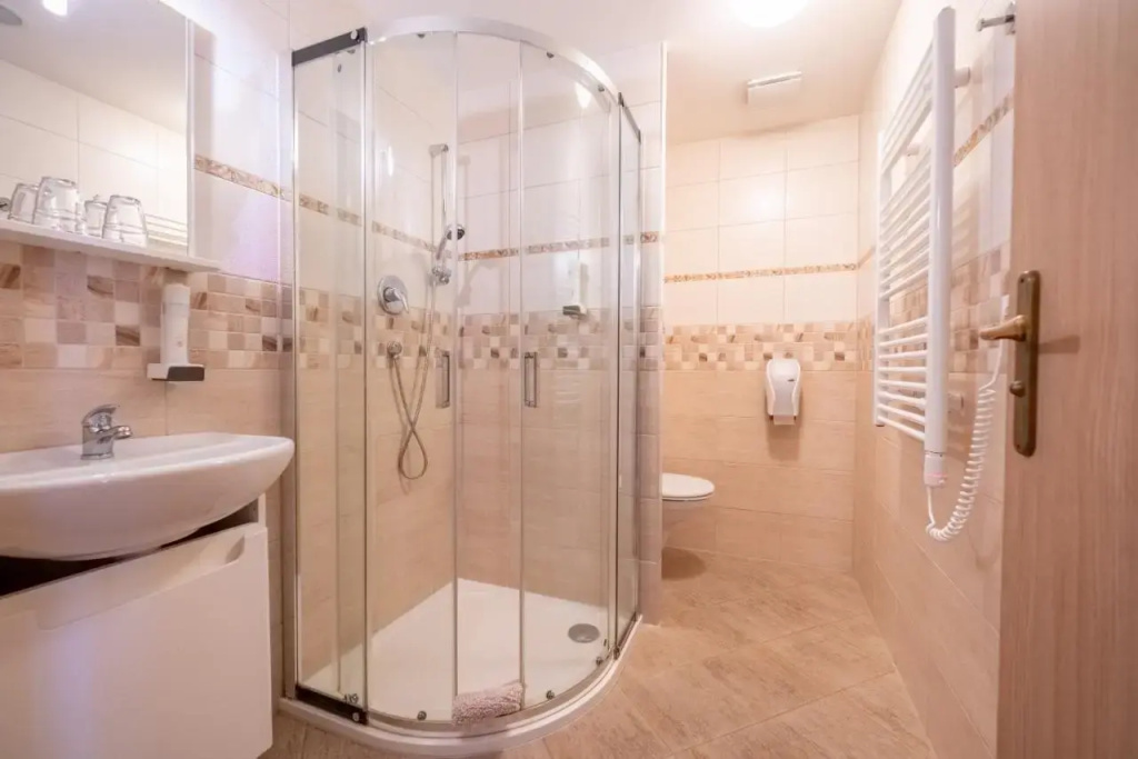 Spa Hotel Millenium Karlovy Vary - Chambres