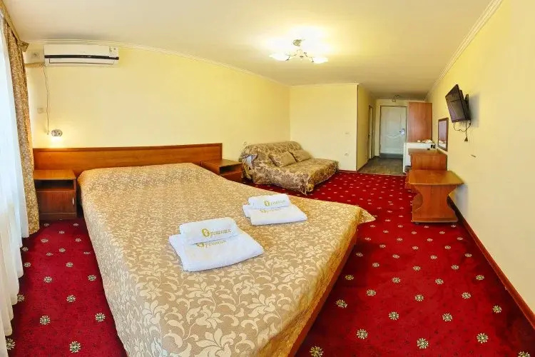 Standard Double room (full double bed)