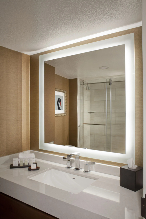 Embassy Suites by Hilton Houston Near the Galleria - Chambres