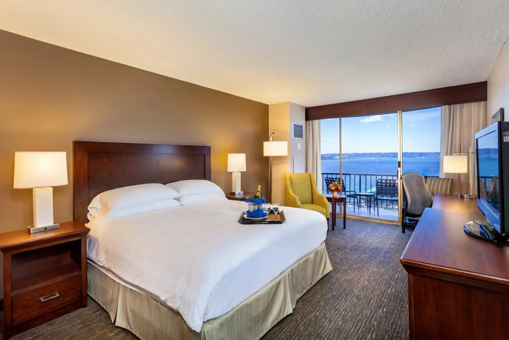 Point Loma Double Suite with bay view full double bed