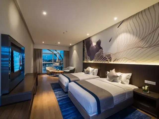 Superior Double room (twin beds)