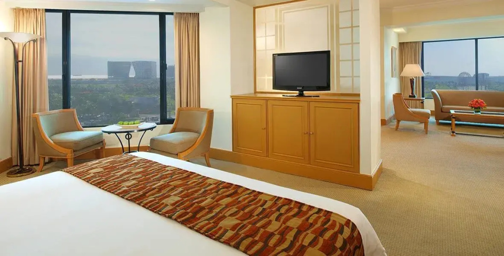 Executive Double Suite (full double bed)