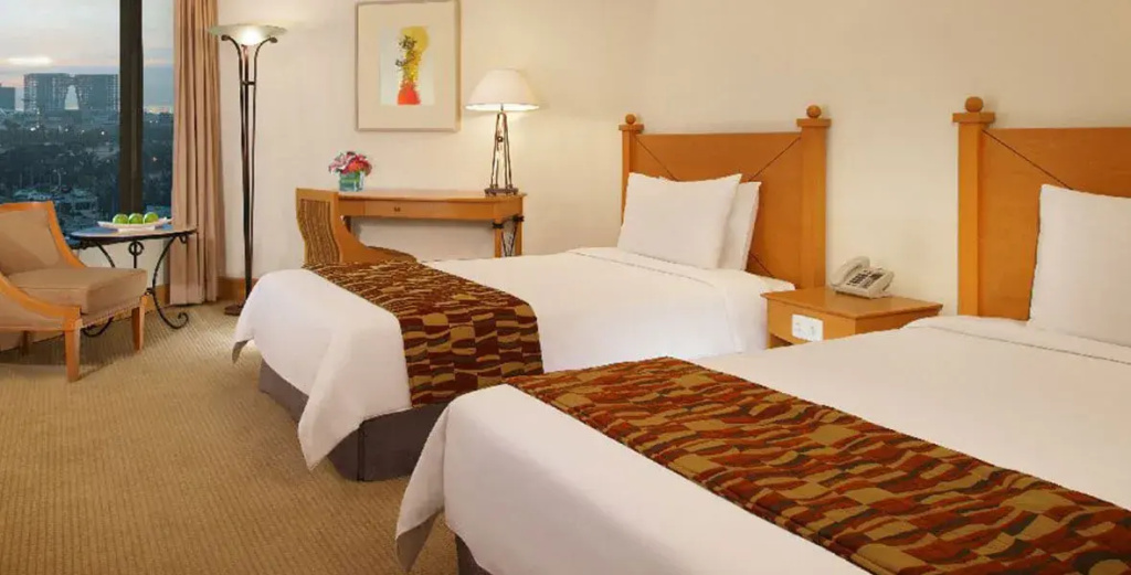Deluxe Double room (twin beds)