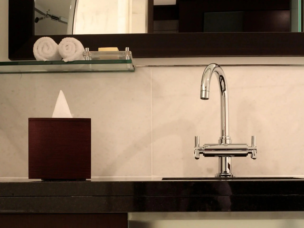 Hyatt Regency Kyiv Hotel - Chambres