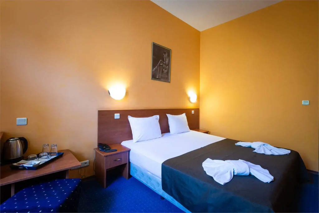Sveta Sofia Hotel - Chambres