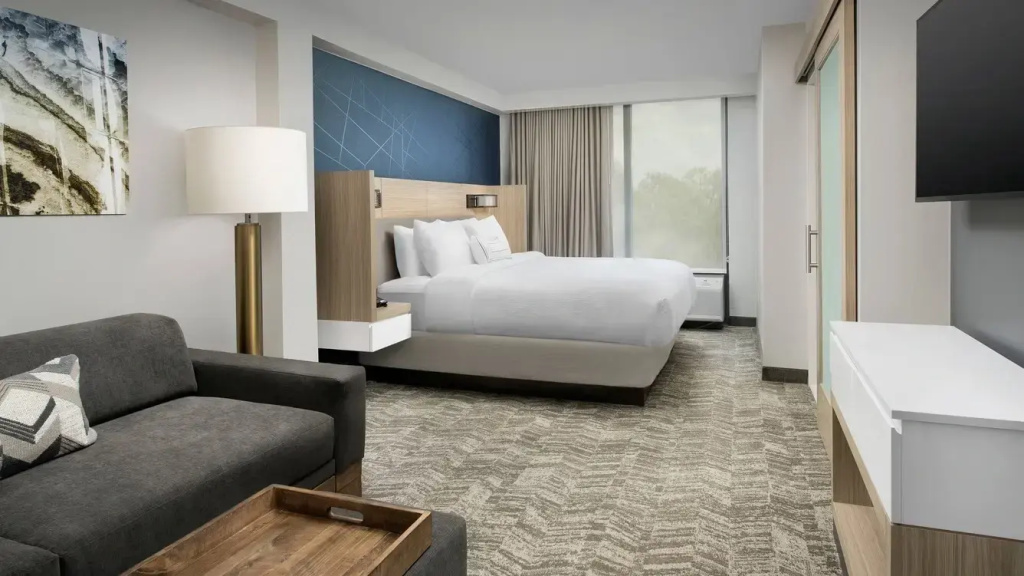 SpringHill Suites by Marriott Atlanta Perimeter Center - Chambres