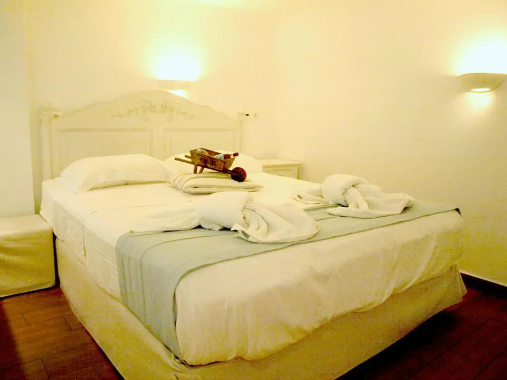 Basic Double room (full double bed)