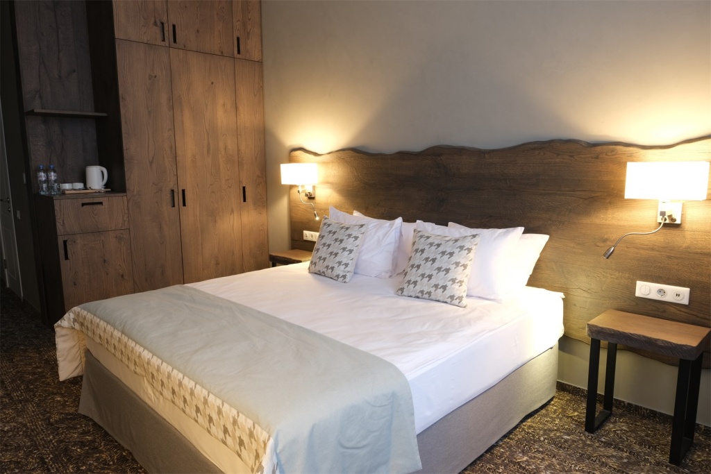 Ostrovskij Hotel Room Type - Eco Double room full double bed