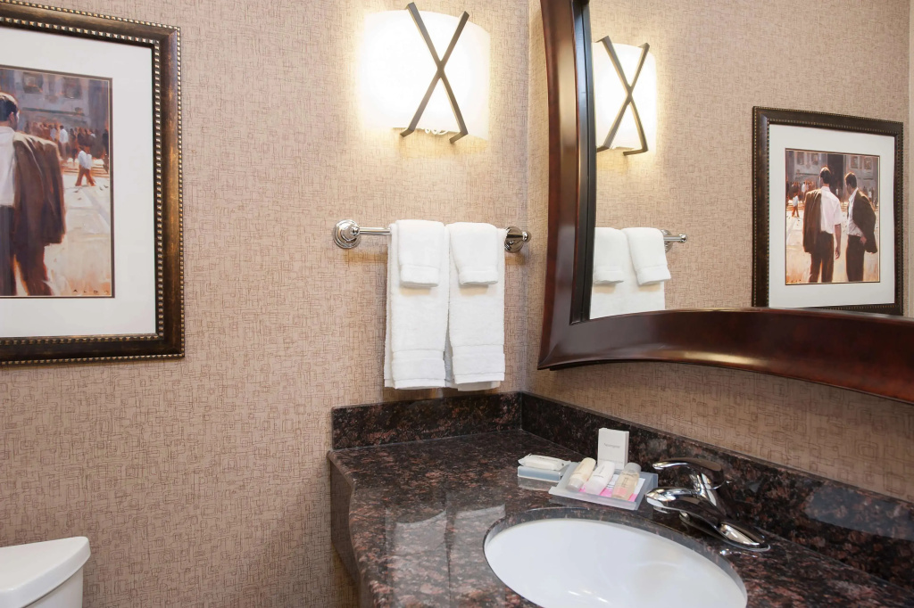 Hilton Garden Inn Indianapolis South/Greenwood - Chambres