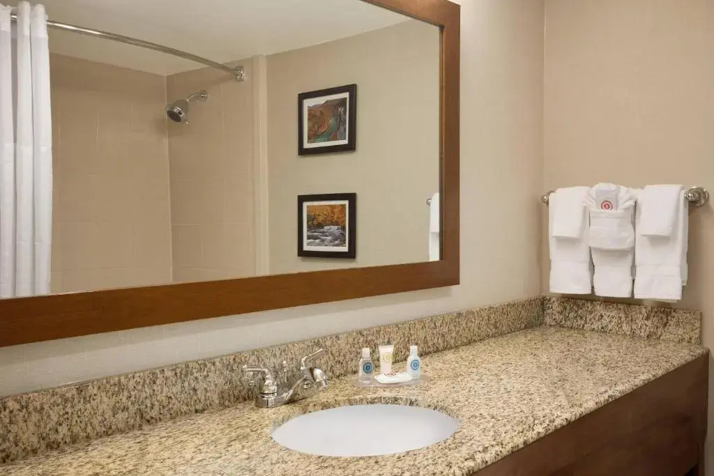 Comfort Inn & Suites Presidential - Downtown Little Rock - Chambres