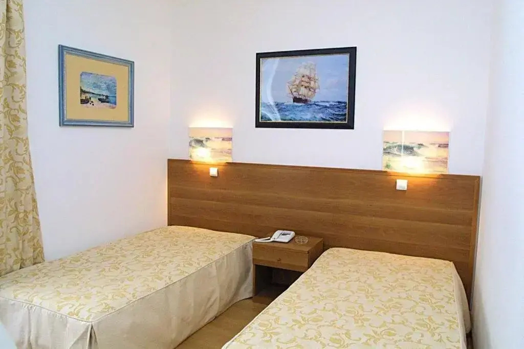 Standard Double room (twin beds)