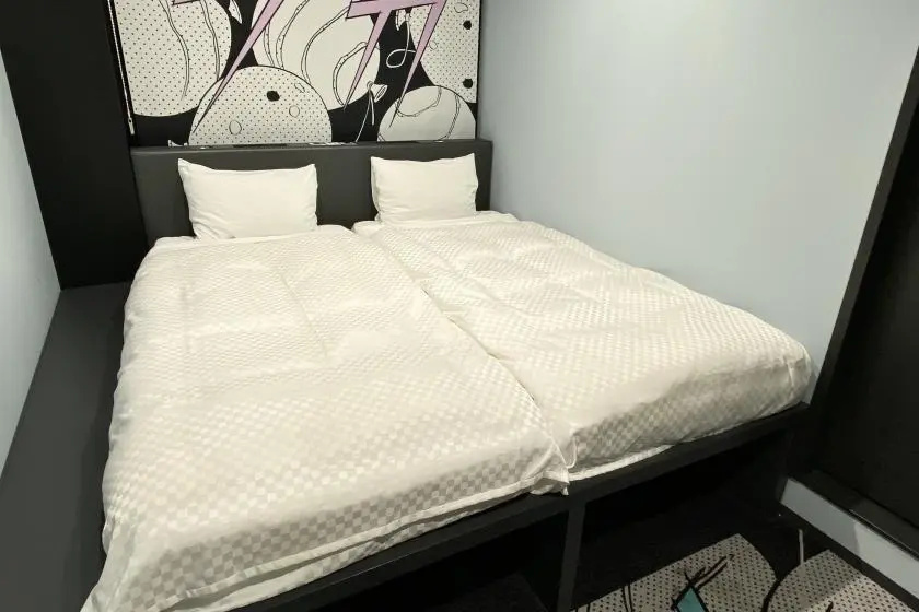 HOTEL TAVINOS Asakusa 사진 8