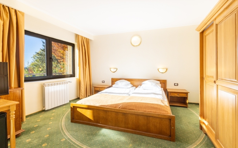 Hotel Casa Viorel - Chambres