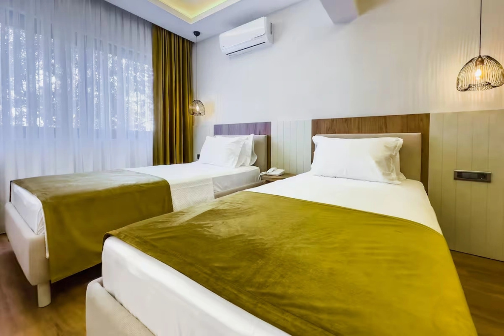Deluxe Double room with city view (twin beds)