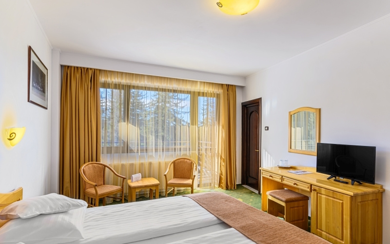 Hotel Casa Viorel - Chambres